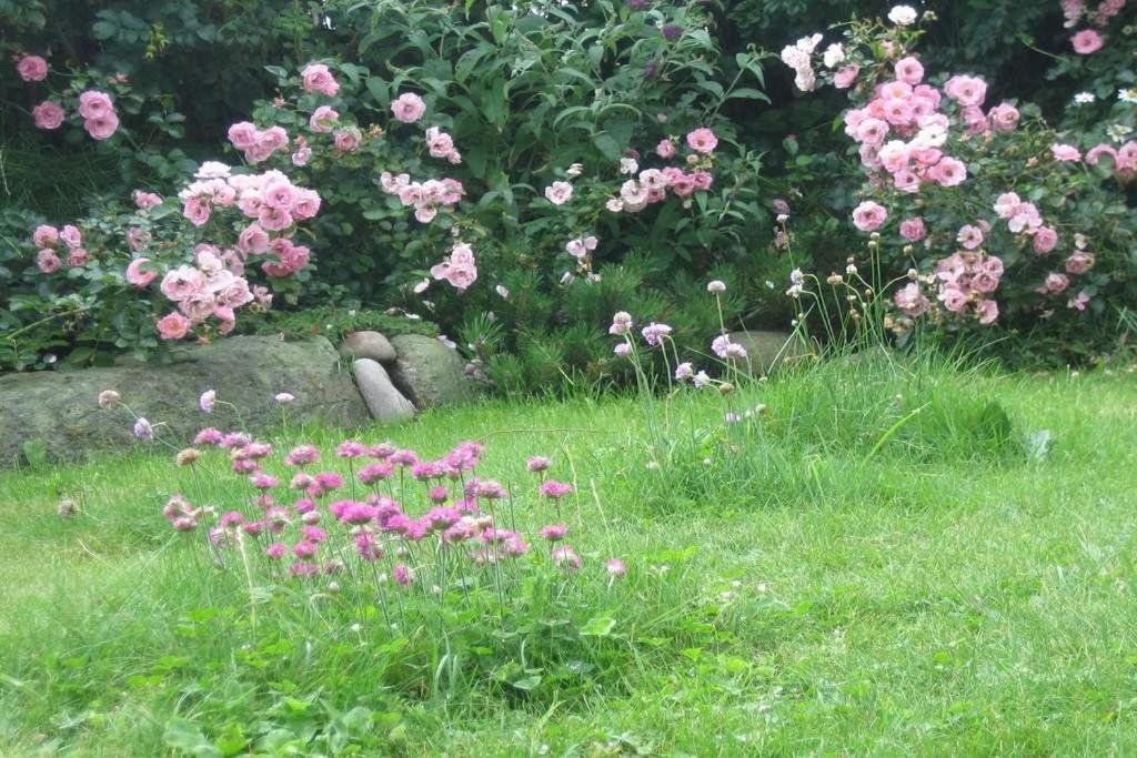 Hopfengarten, Whg 9 Apartment *
